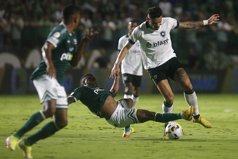 Palmeiras x Goiás: onde assistir ao vivo, que horas é, escalação e mais do  Brasileirão